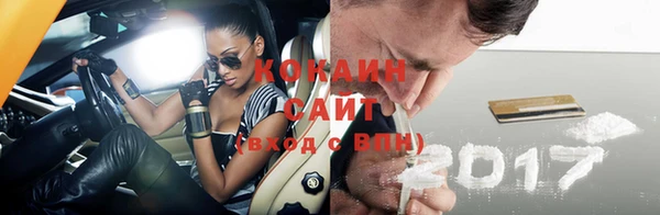 шишки Абаза