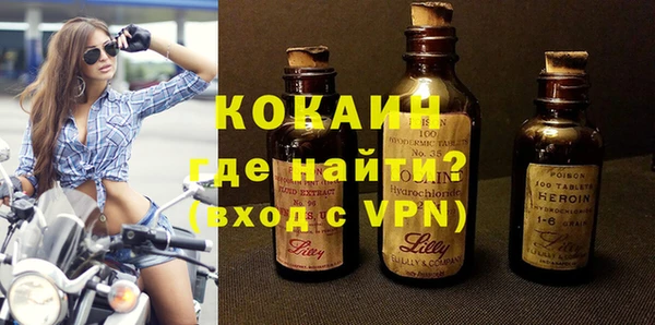 шишки Абаза